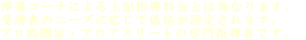 澤邉コーチによる上記指導料金とは異なります。  受講者のニーズに応じて価格が設定されます。   プロ格闘家・プロアスリートの専門指導者です。